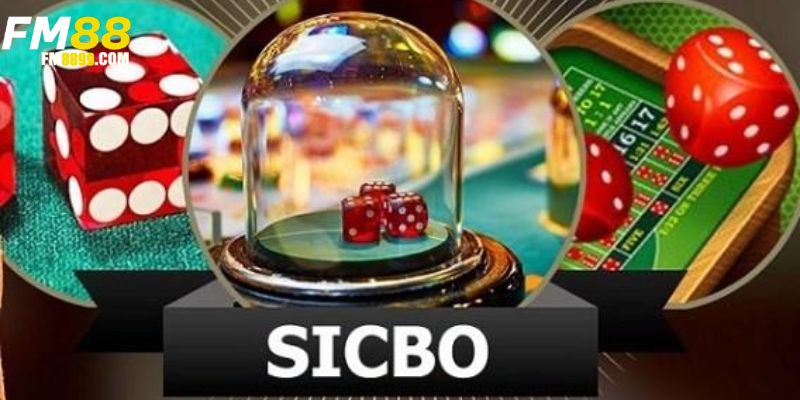 Sicbo – Hướng dẫn chơi, mẹo hay và chiến thuật thắng lớn 2024